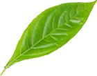 Zhejiang Xinyike New Material Technology Co., Ltd.